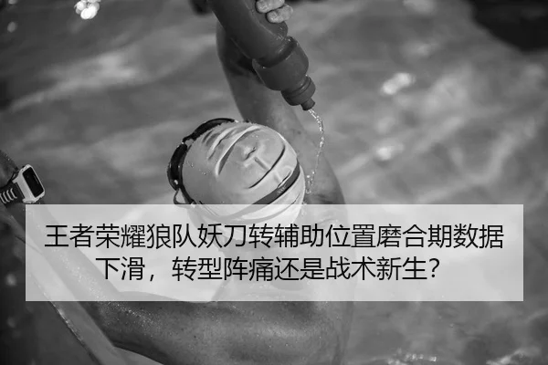 王者荣耀狼队妖刀转辅助位置磨合期数据下滑，转型阵痛还是战术新生？